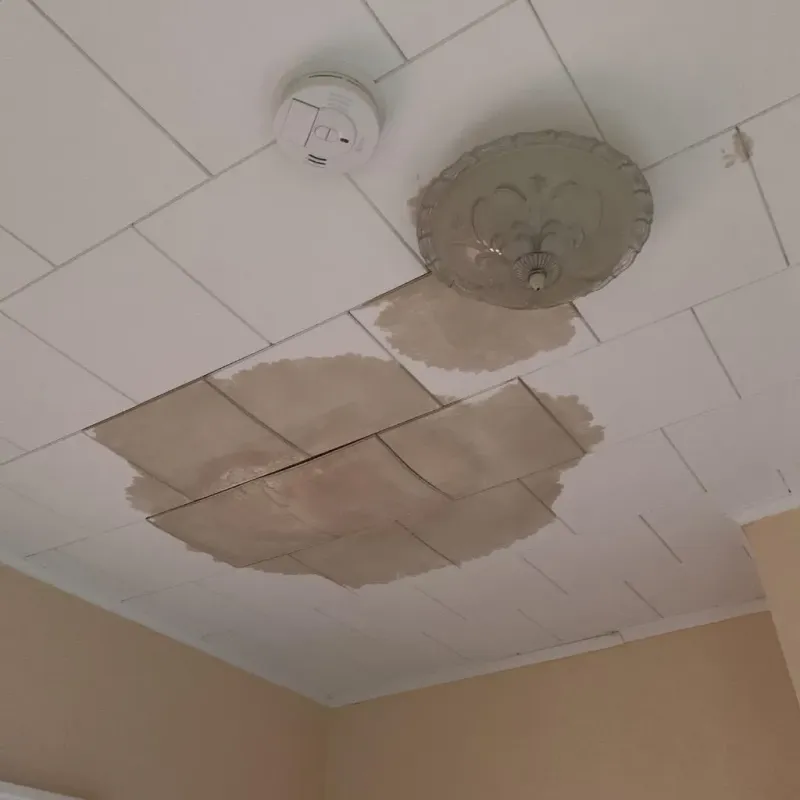 Ceiling Water Damage Repair in Etna, ME