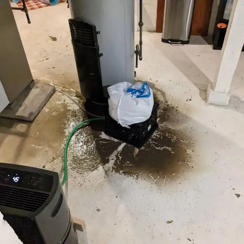 Sewage Backup Cleanup Service in Etna, ME